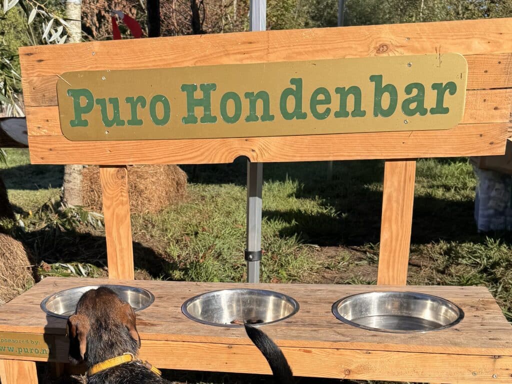 Puro dog bar